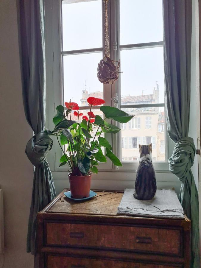 Jolie Chambre Dans Appartement Cosy En Plein Centre Marselha Exterior foto
